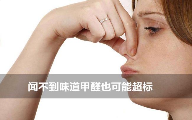 �Ϻ�����ȩ��˾���] ����ȩ��I(y��)-���ճ���ȩ