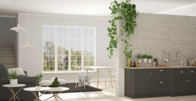 �Ϻ���ȩ�����ļҺ�|ȥ����ȩ